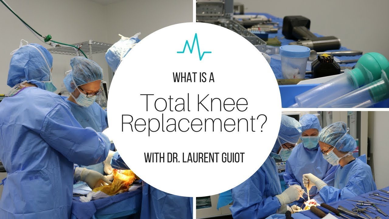 What is a Total Knee Replacement for Dogs?