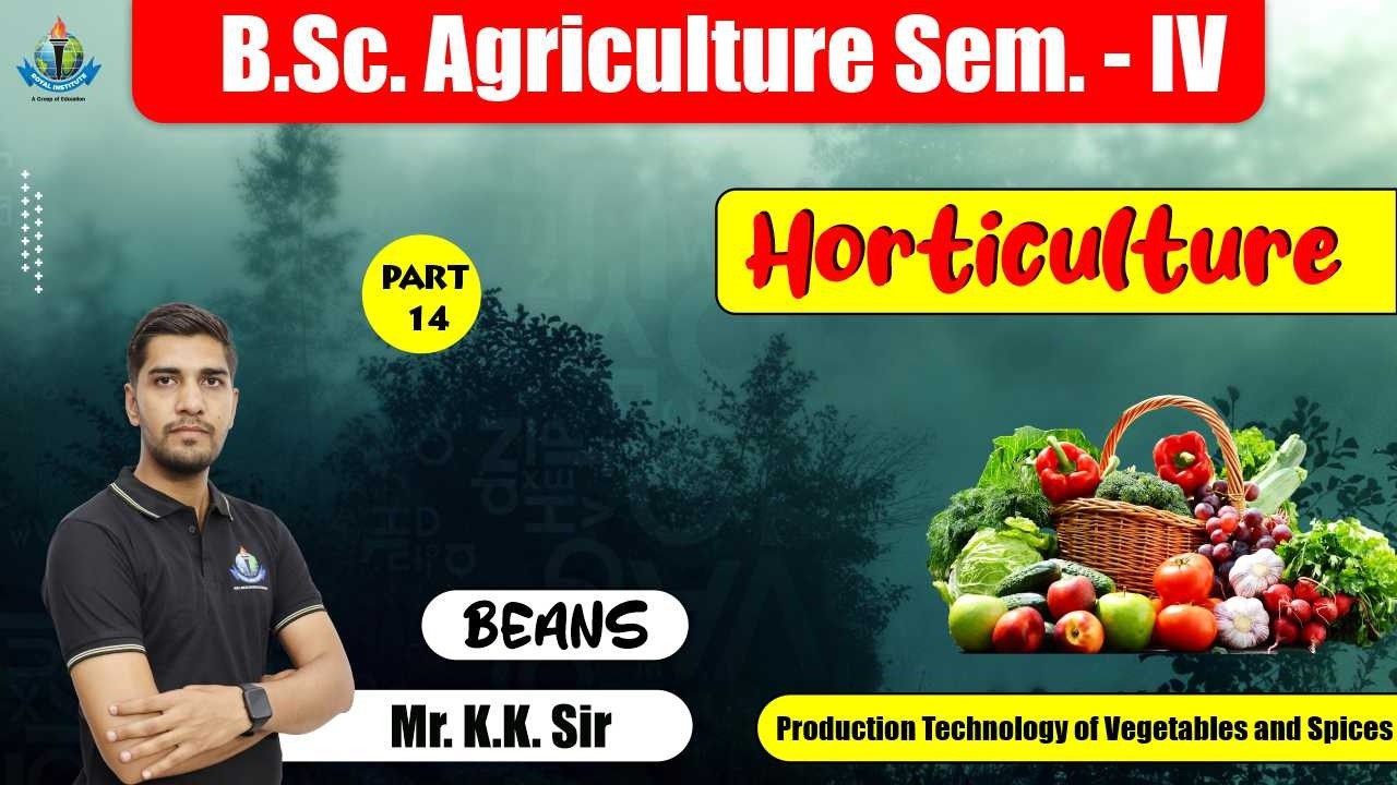 B.Sc. Ag. Sem.-IV Horticulture |  Production Technology Of Vegetables And  Spices | By KK SIR