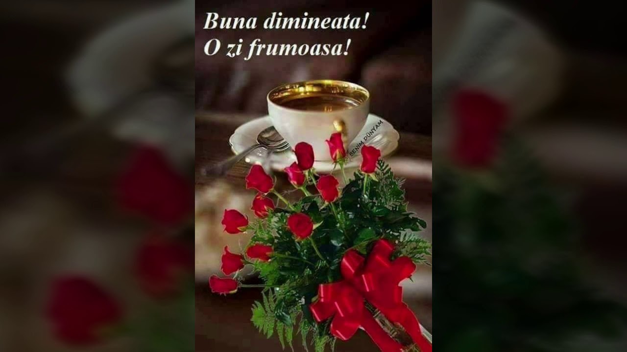 Buna dimi 16/10/'19