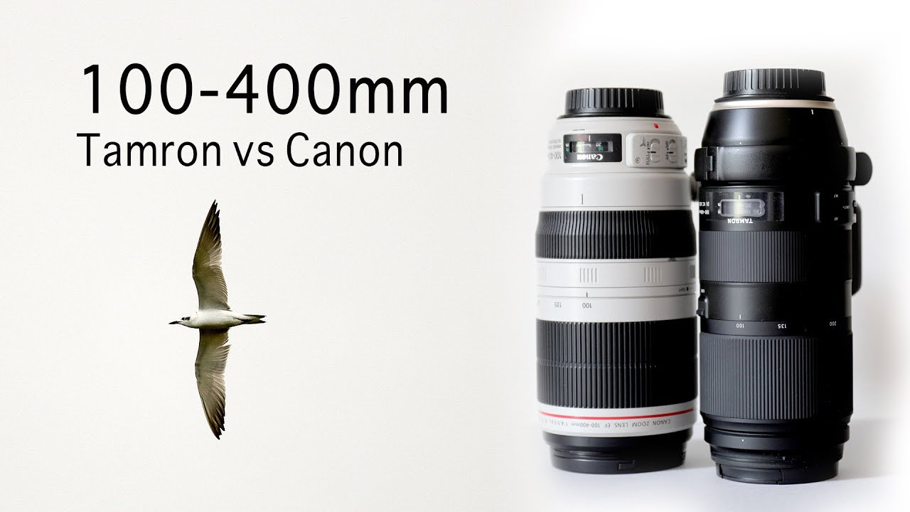 Tamron 100-400mm f4,5-6,3 vs Canon zoom 100-400 IS L USM II