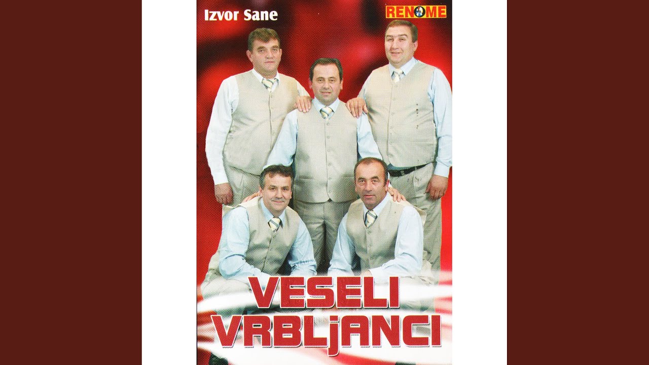 Vizor
