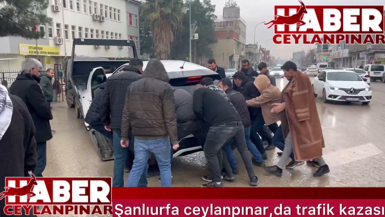 Ceylanpınar,da trafik kazası