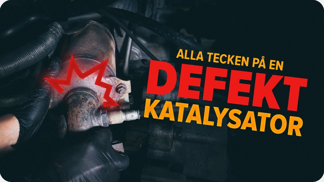 S&aring; kontrollerar du en katalysator | AUTODOC tipsar