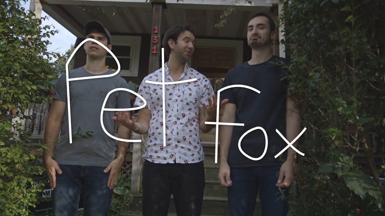 Pet Fox - an Allston Pudding Session