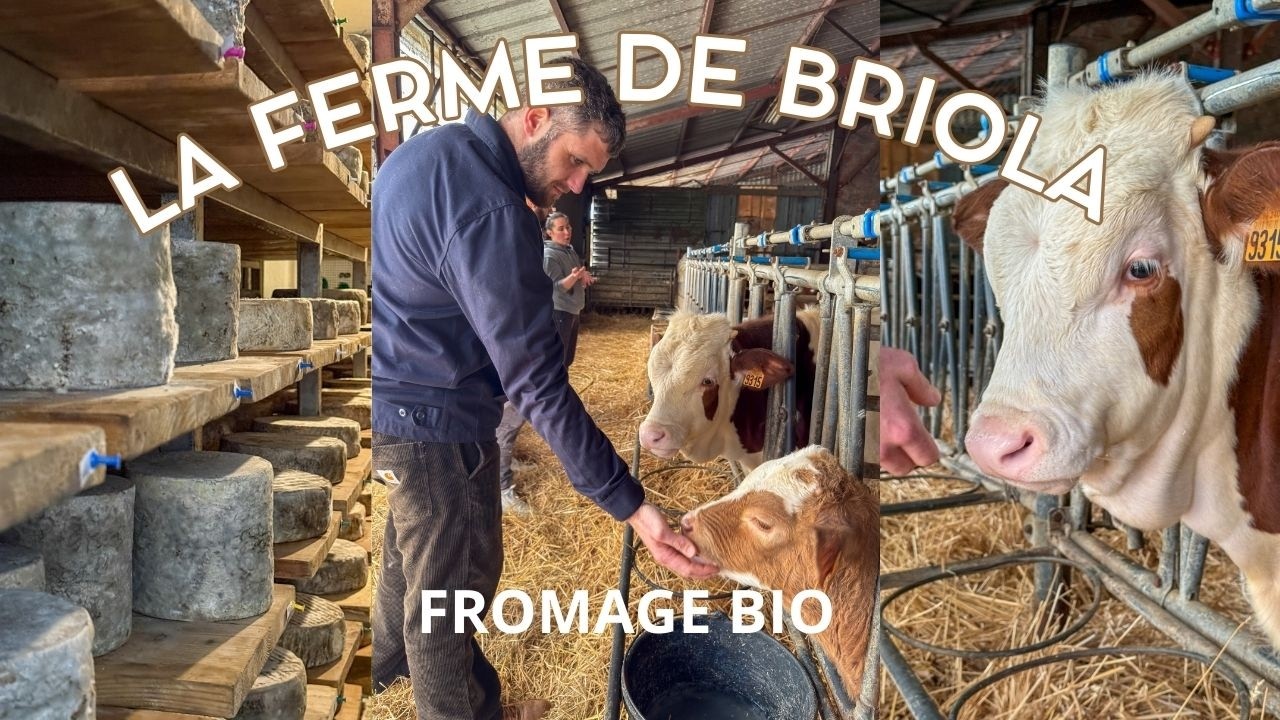 La Ferme de Briola 🐄🌿