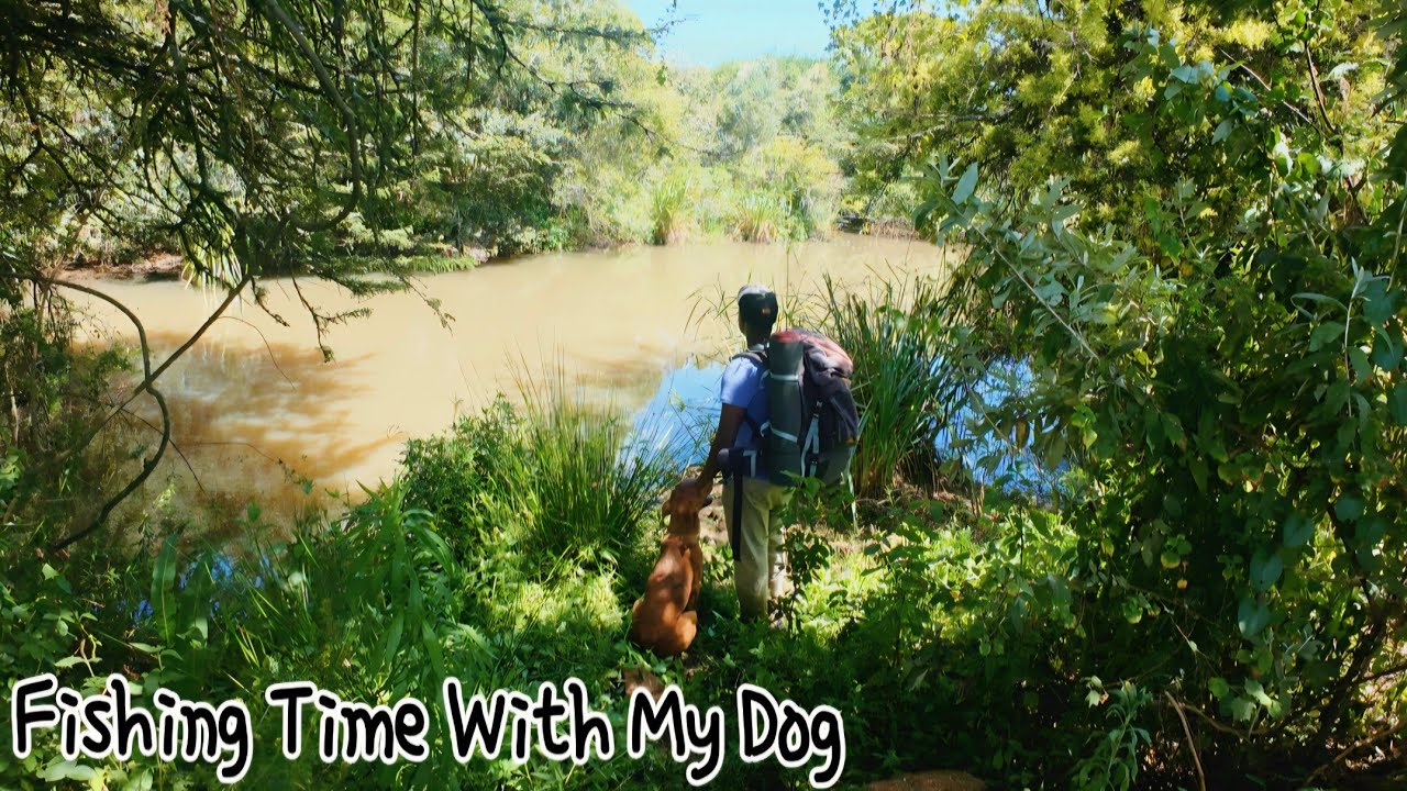Fishing On A Remote Stream With My Dog #bushcraft #survival #fish #fishing #dog #asmr #camping