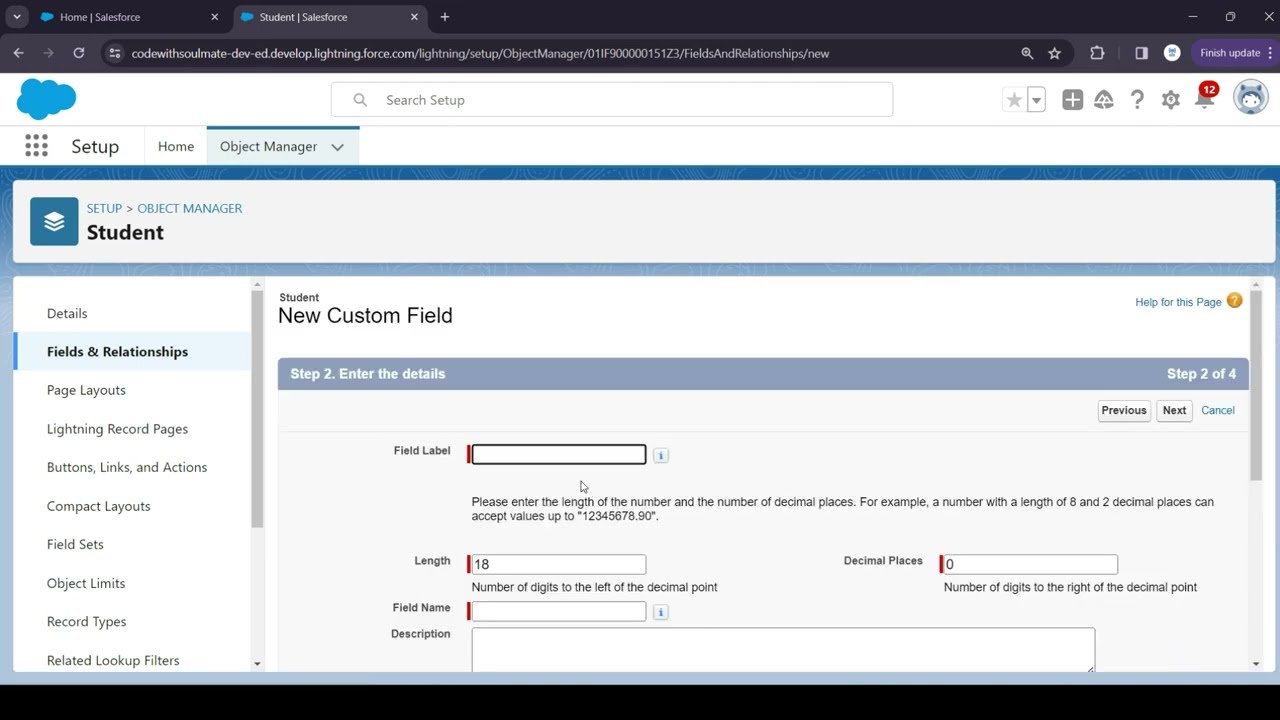 How to create custom object and fields in salesforce #salesforce #clouds #object #fields