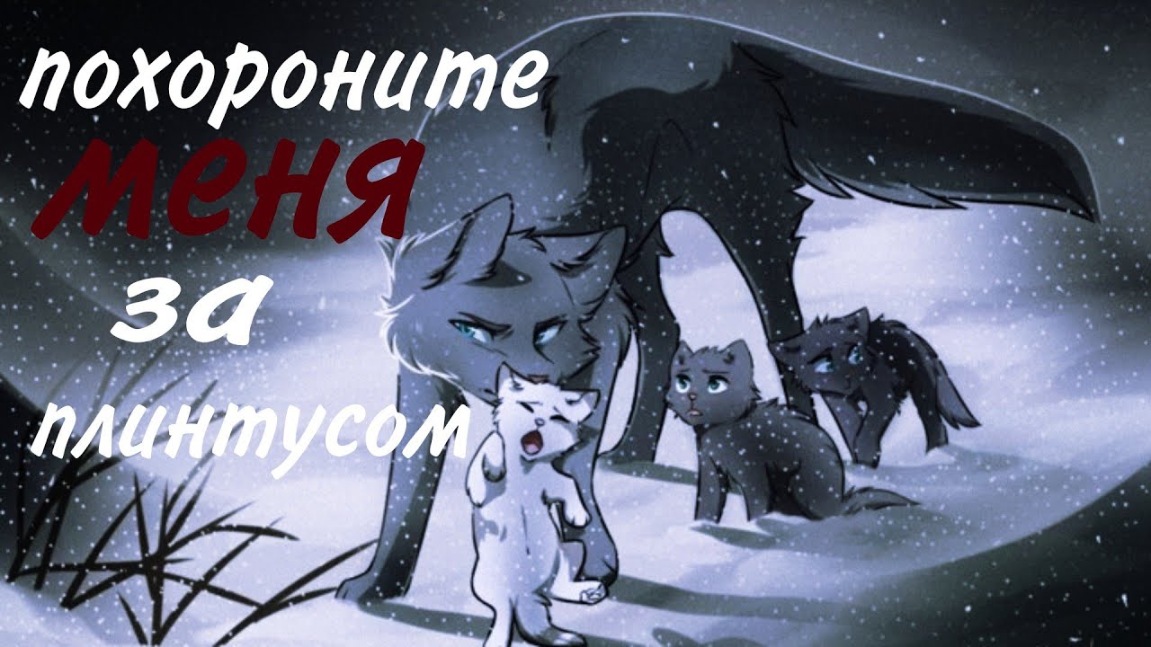 Коты воители: Синяя звезда 