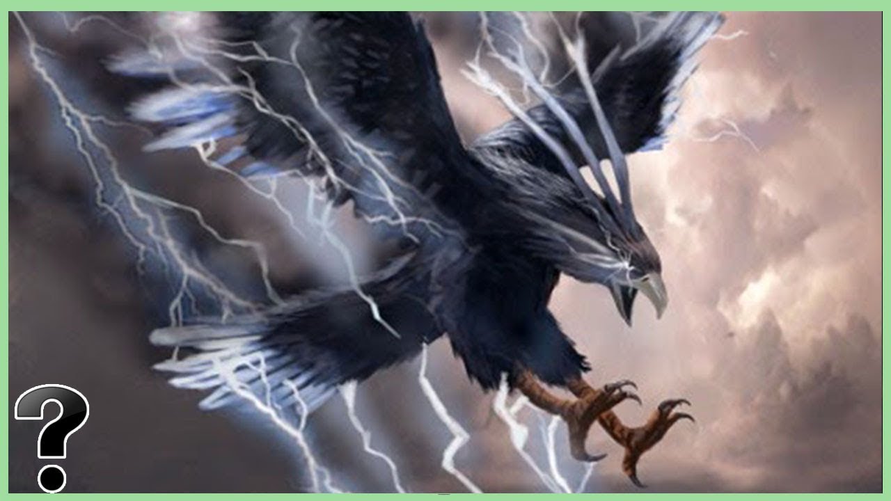 What If The Thunderbird Was Real?