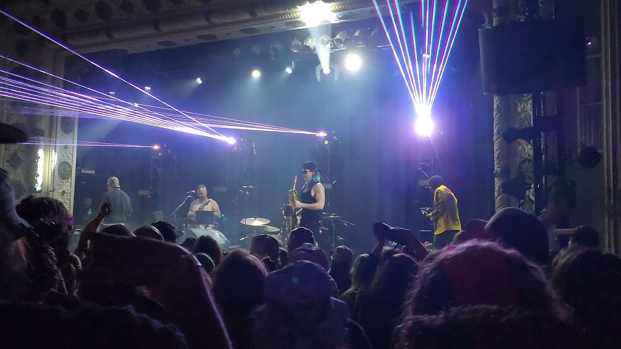 The Floozies & Too Many Zoos - 