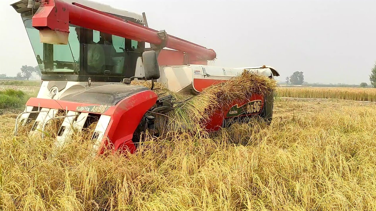 Kubota AR96 combine harvester machine field working| import from Japan