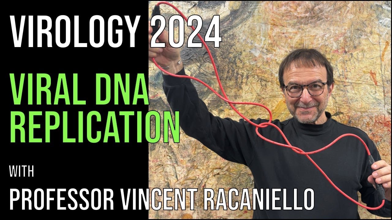 Virology Lectures 2024 #8: Viral DNA replication