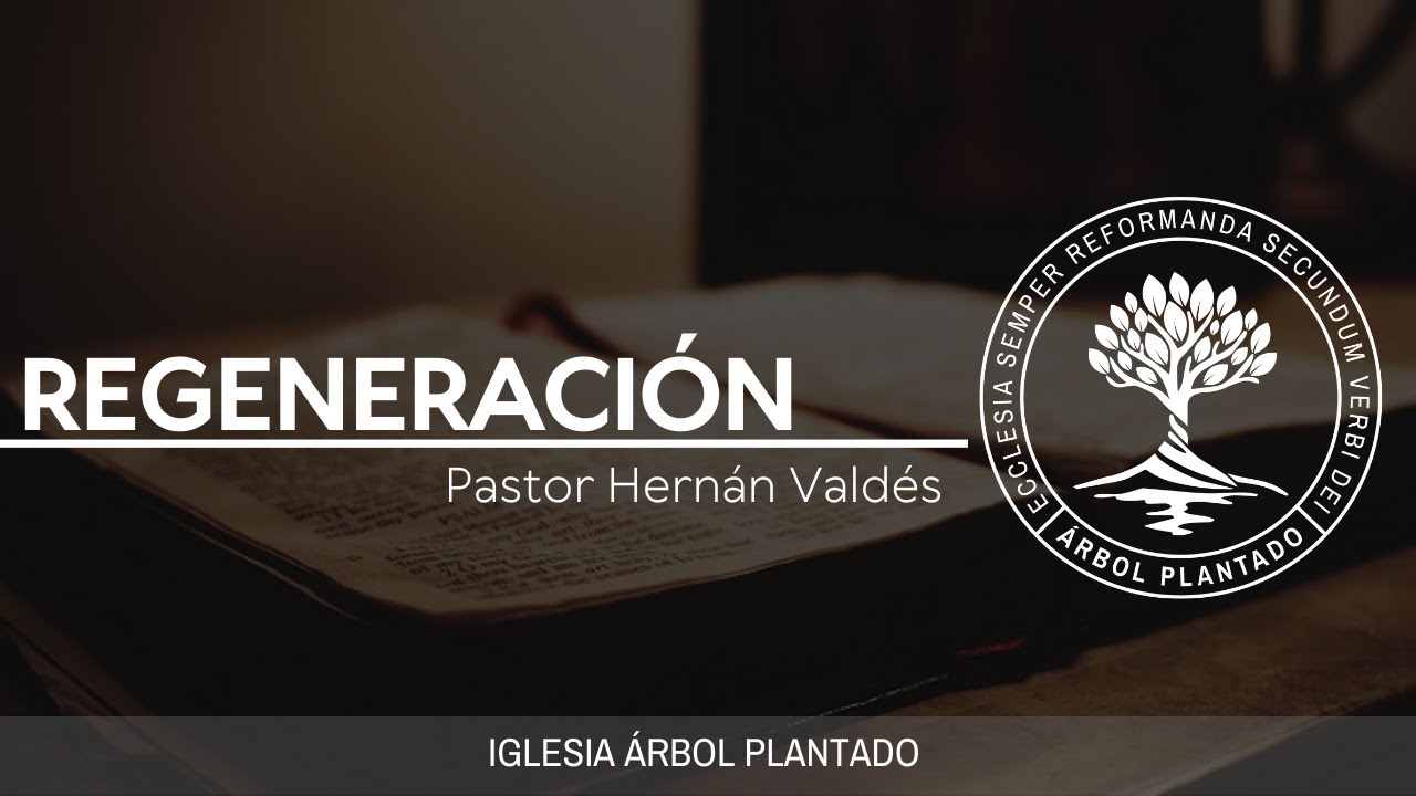 39 - Regeneración