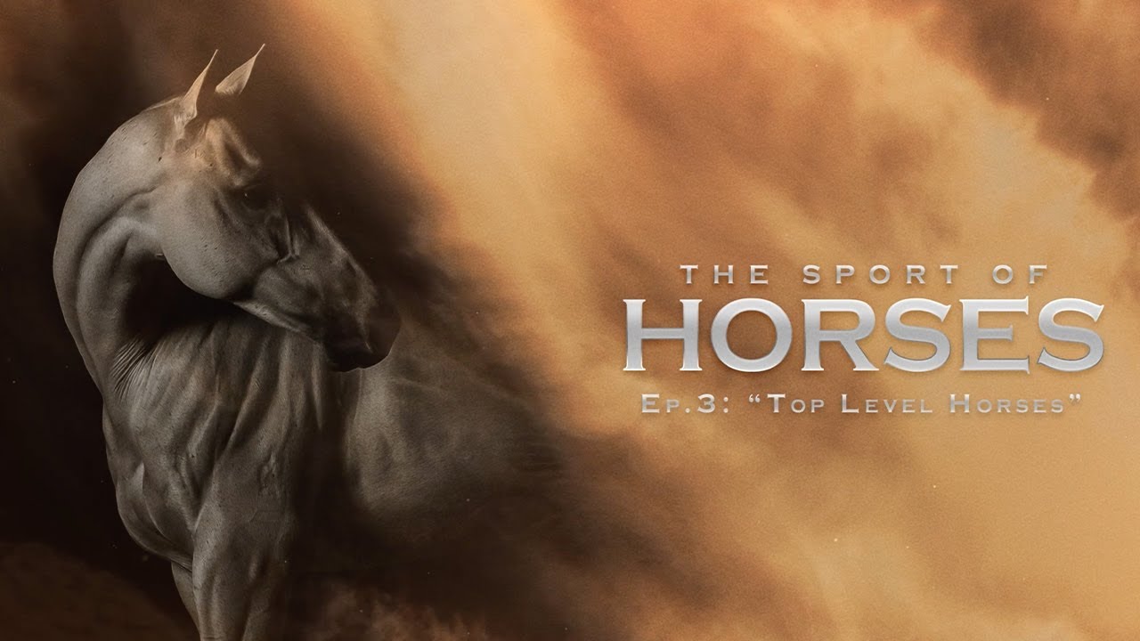 The Sport of Horses: Episode 3 - Top Level Horses