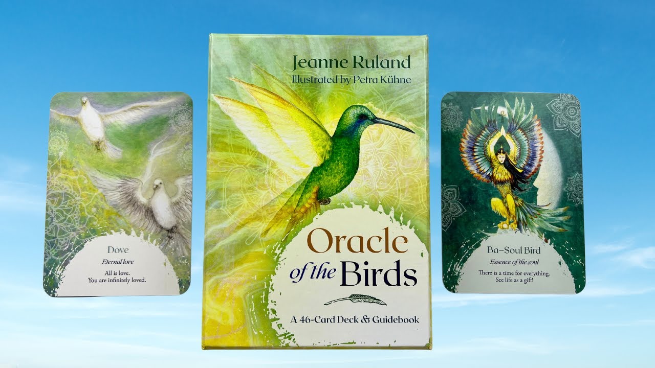 Oracle of the Birds | A 46 Card Deck and Guidebook | Flip Through | Walkthrough