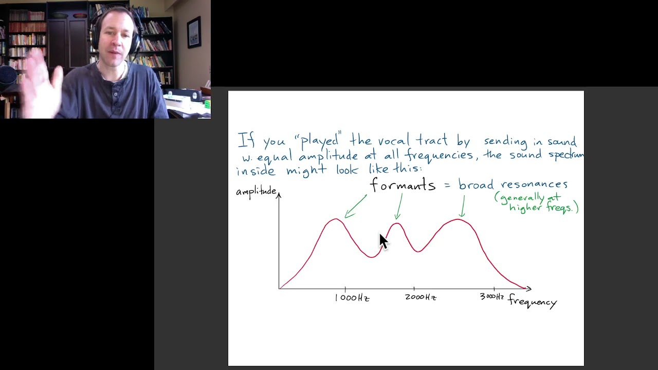 Physics of Music 57: the human voice 2: vocal tract and formants