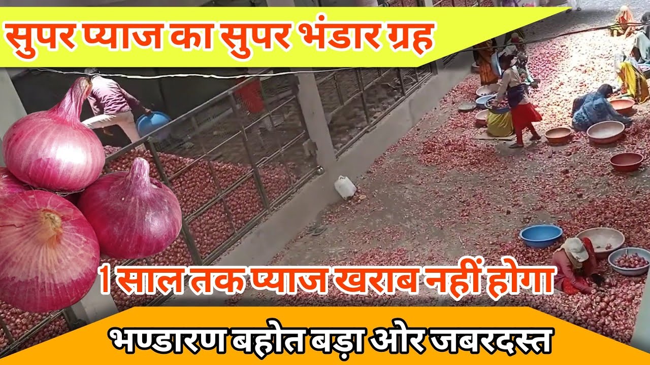 प्याज स्टोर की  विधि | pyaj store karne ka tarika | onion store