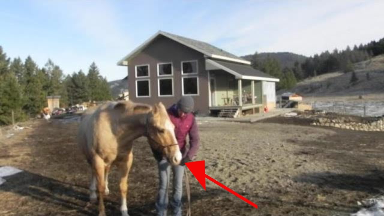 HOW TO MAKE A LEAD ROPE INTO SPLIT REINS/RIDE IN HALTER