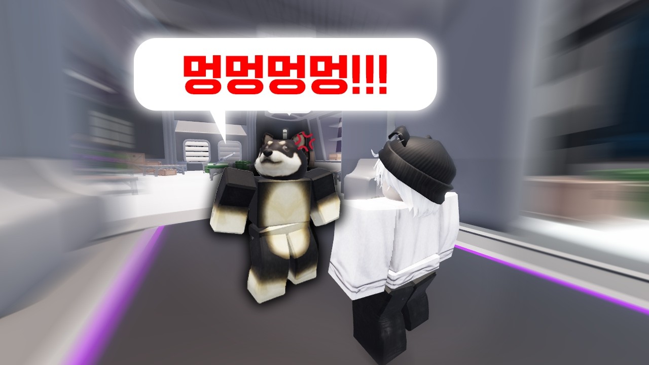 뽀삐가 화났습니다..