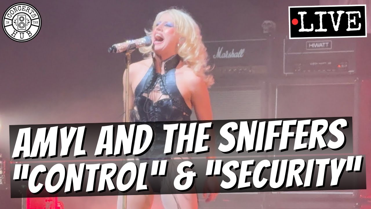 Amyl and The Sniffers 