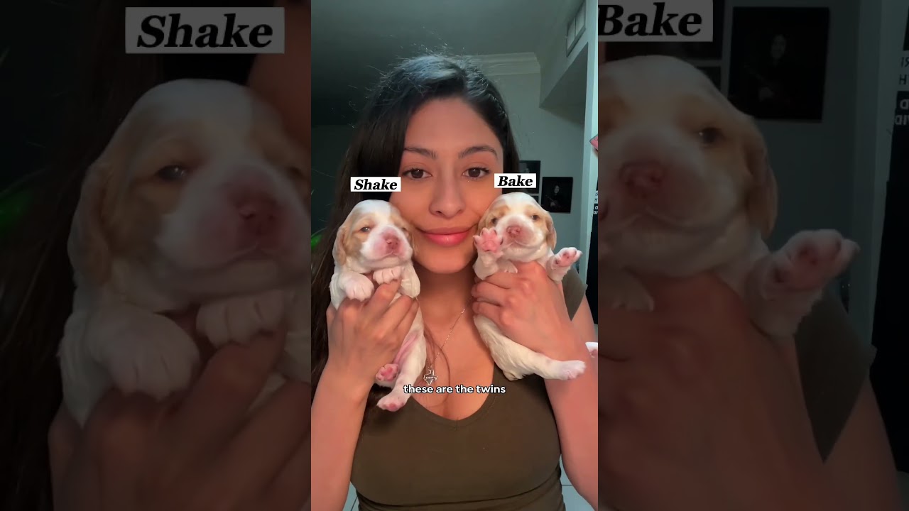 Кормим малышей! 🍼 #шорты