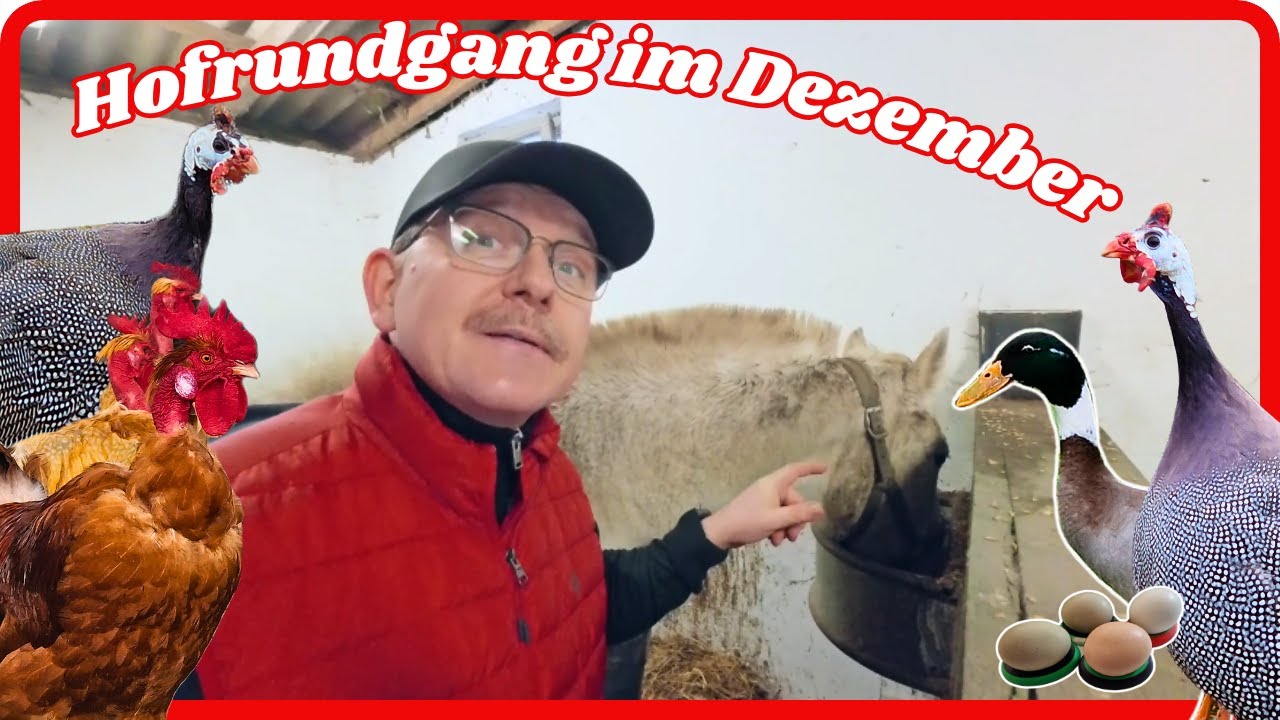 Hofrundgang Dezember 2025