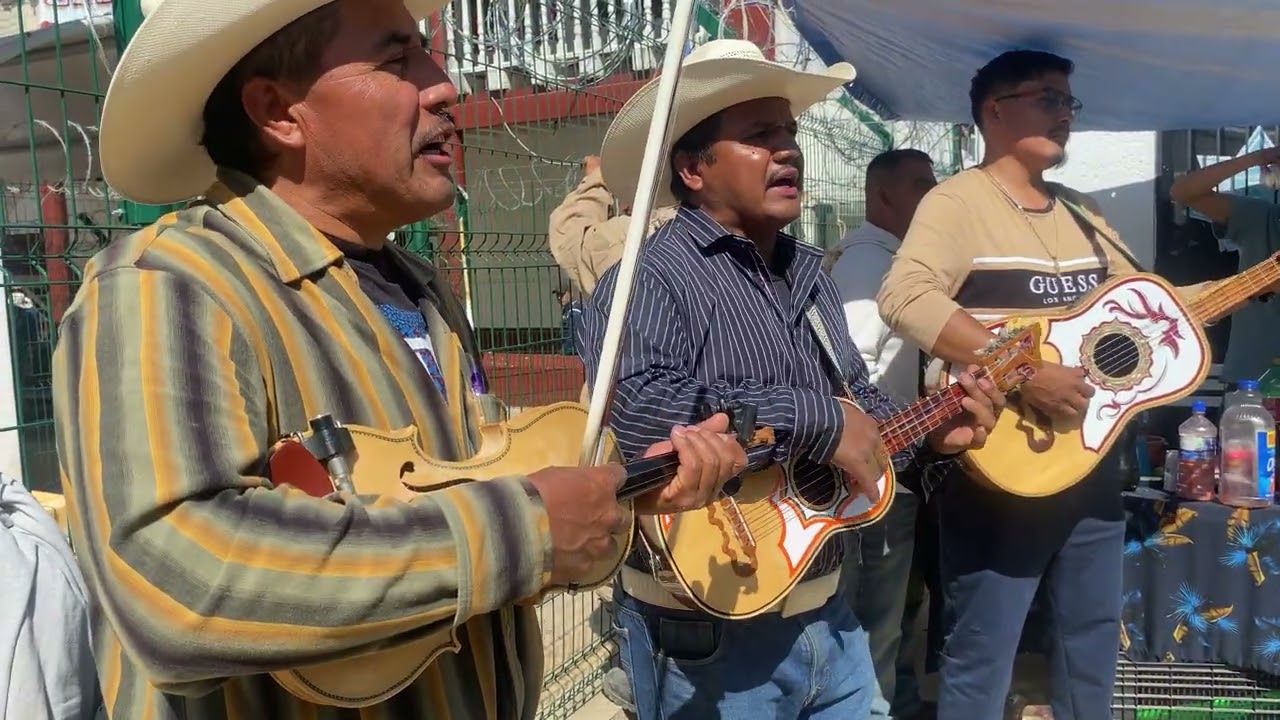 Trío arrendador de la sierra “La cumbia de MiTla” Carnaval Tlahuiltepa 2026
