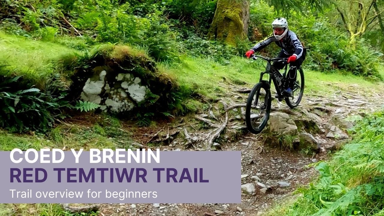 Coed-Y-Brenin Red Temtiwr Trail Overview