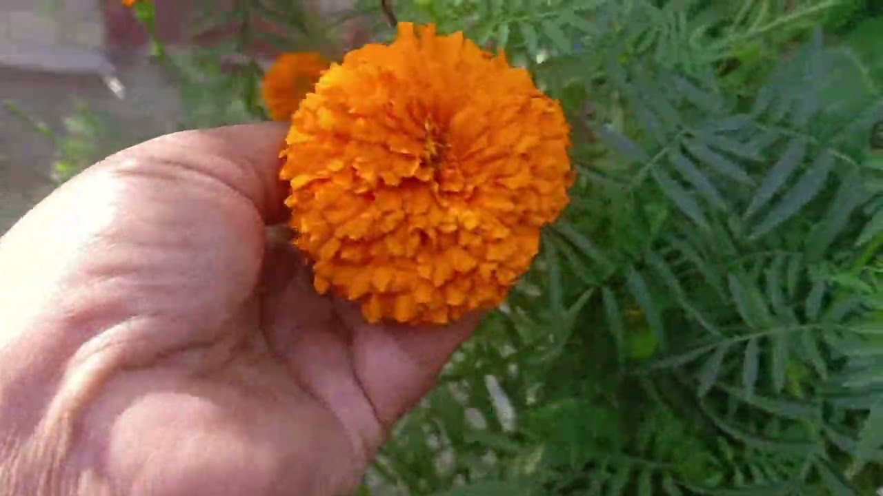 हमारे छोटे से ब्लॉक में स्वागत है 🙏🙏🙏🙏🙏🙏