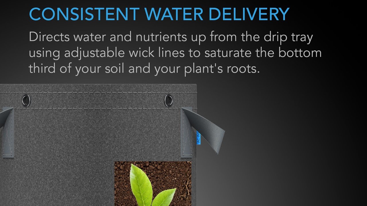 Ac Infinity Self Watering Basin!They work wonders especially if u have to leave ur girls unattended