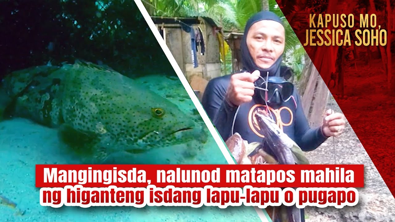 Mangingisda, nalunod matapos mahila ng higanteng isdang lapu-lapu o pugapo | Kapuso Mo, Jessica Soho