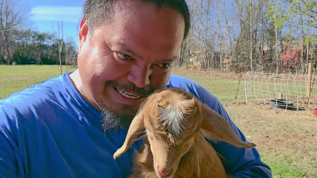 Mas bebe, en el rancho, pero tengo problemas con la celostina. 🥰🥰😍😍😂😂