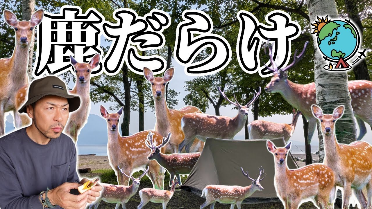 【ソロキャンプ】北海道人気No 1「美笛キャンプ場」で焚き火と絶品キャンプ飯｜支笏湖