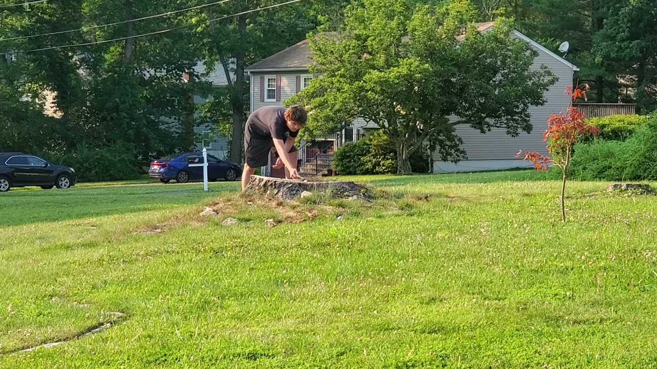 blowing up the stump 1/2 stick of dynamite