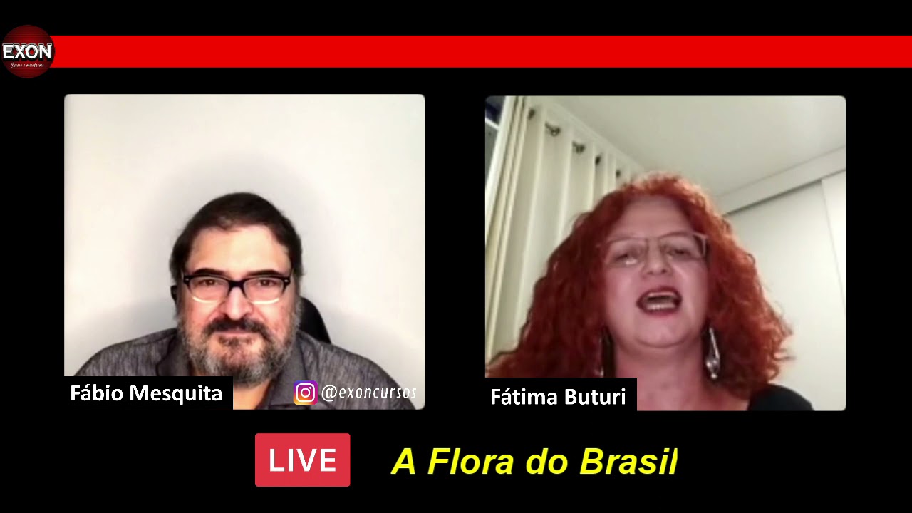 A Flora do Brasil
