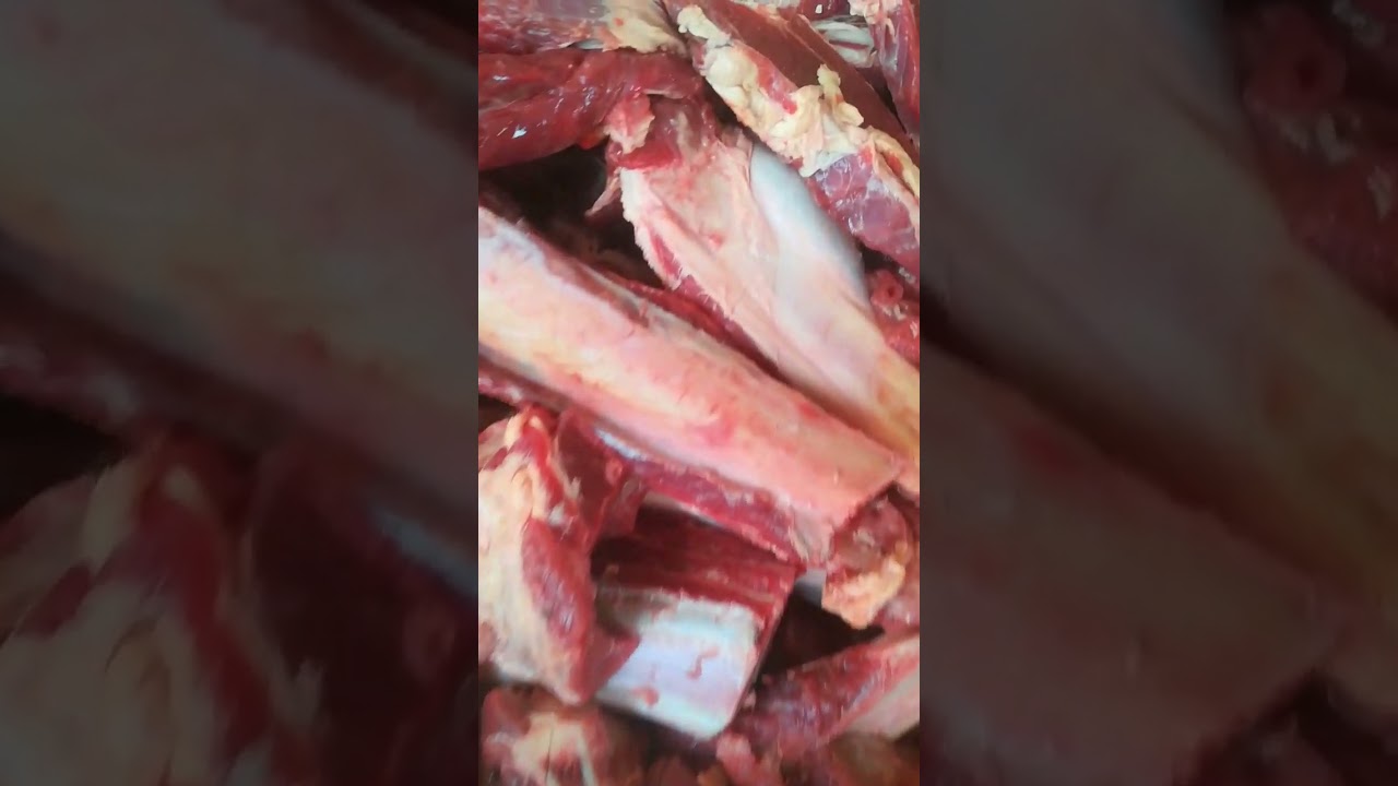 Raw Beef Meat // Namibia 🇳🇦 Africa #shorts #meatproduction #Ribs #Stew #Chops #Butchery