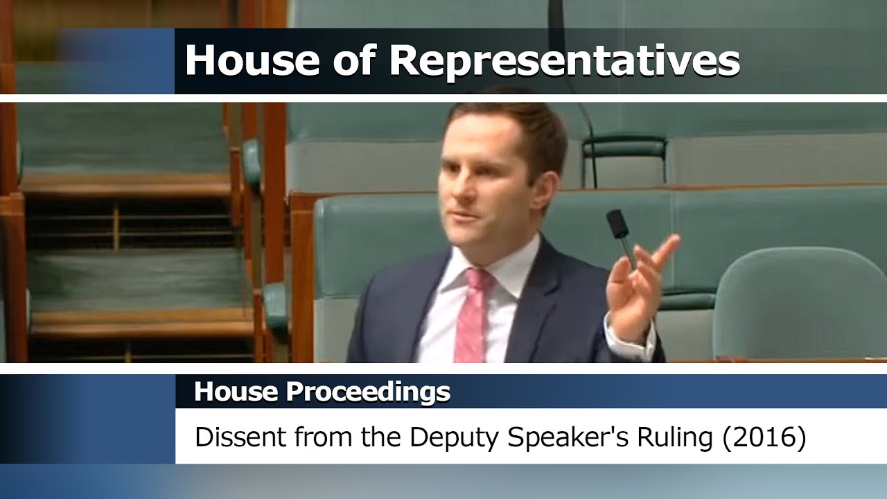 House Proceedings - Don't Hurt The Deputy Speaker! (Dissent from the Deputy Speaker's Ruling) (2016)