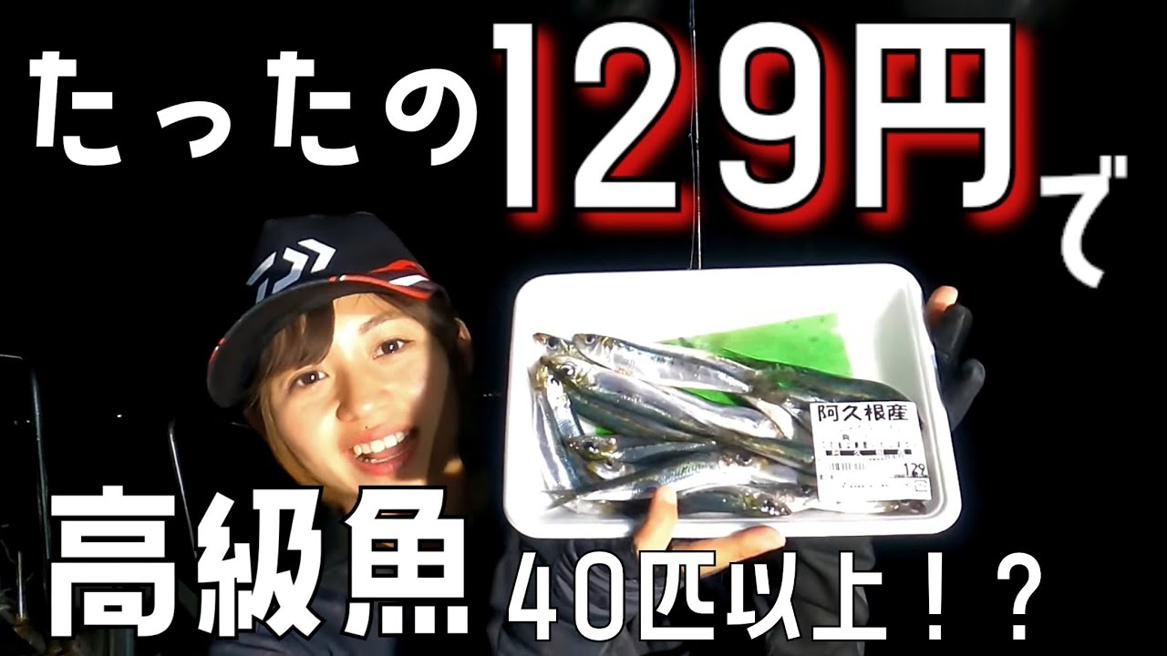 【大漁】シーズン到来！高級魚が129円のエサで大漁に釣れる♪ in錦江湾