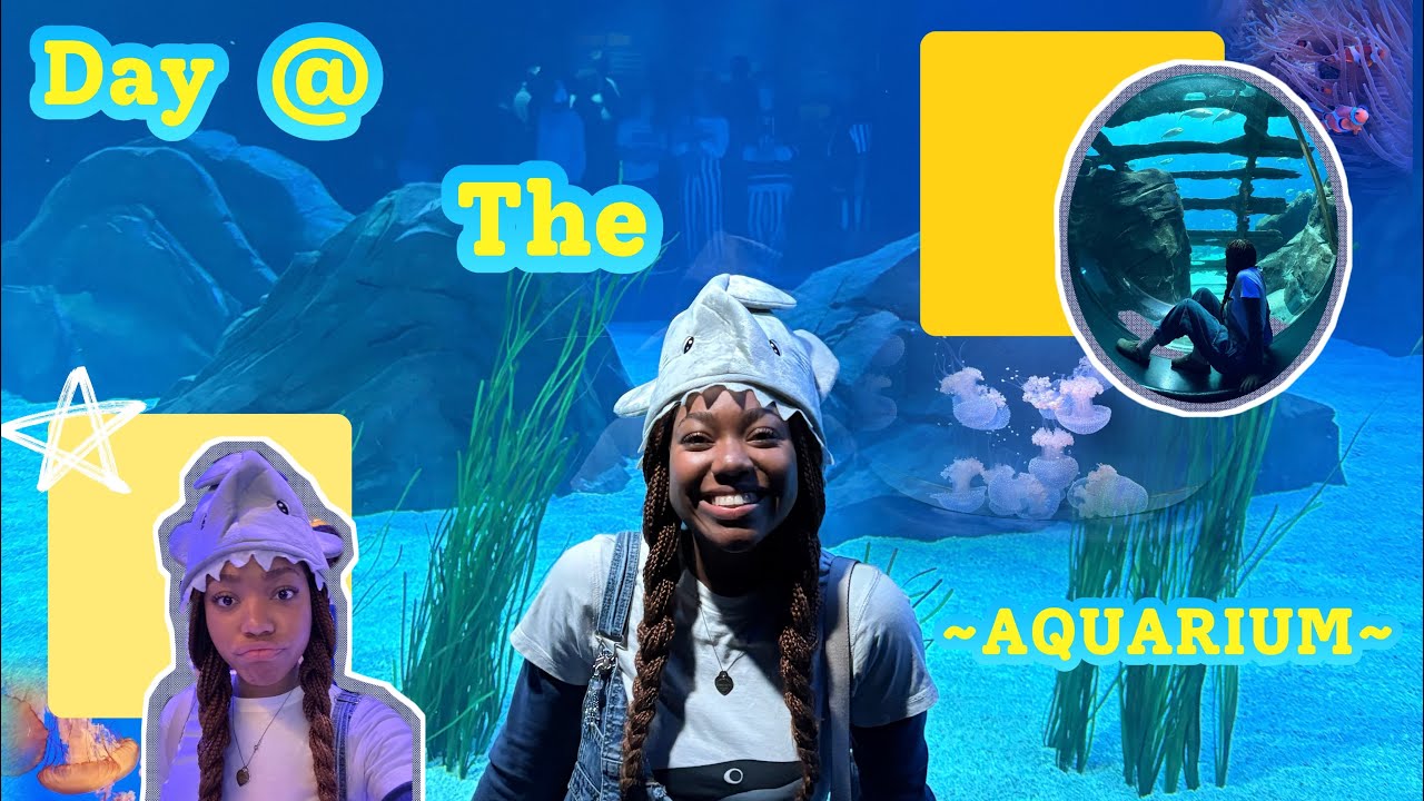 Lost @ the Aquarium 🫧