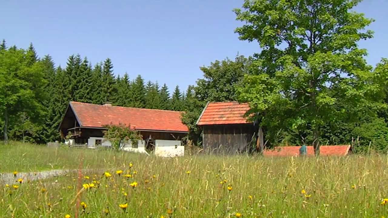 Regionalkultur im Museum -- Finsterau