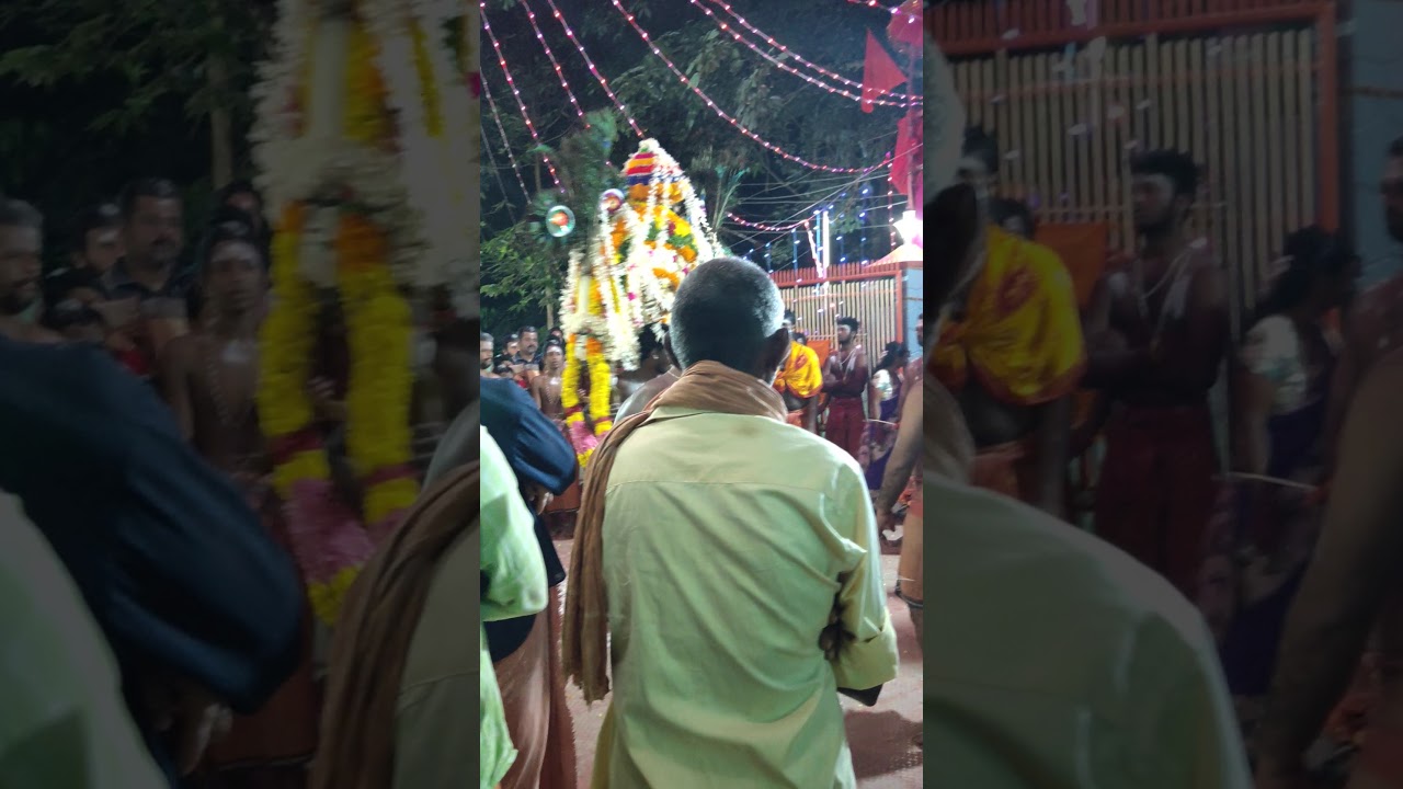 Panamkuzhi Kanadi 5year 2019