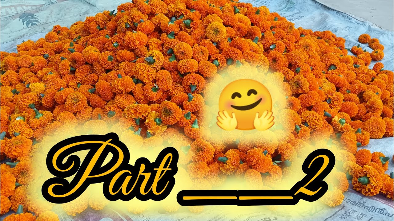 দিদার বাড়ি দ্বিতীয় দিনের ব্লগ 🤗😅#vlog #videos #viralvideo #vlogviral  কত কী করলাম কত মজা করলাম 🥰🤗😃