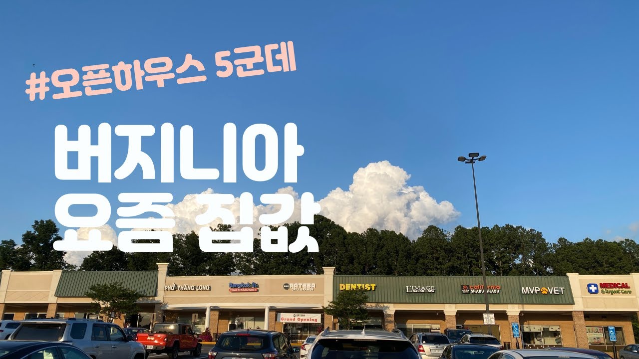 미국 버지니아 요즘 집 값, 다섯 군데 오픈하우스