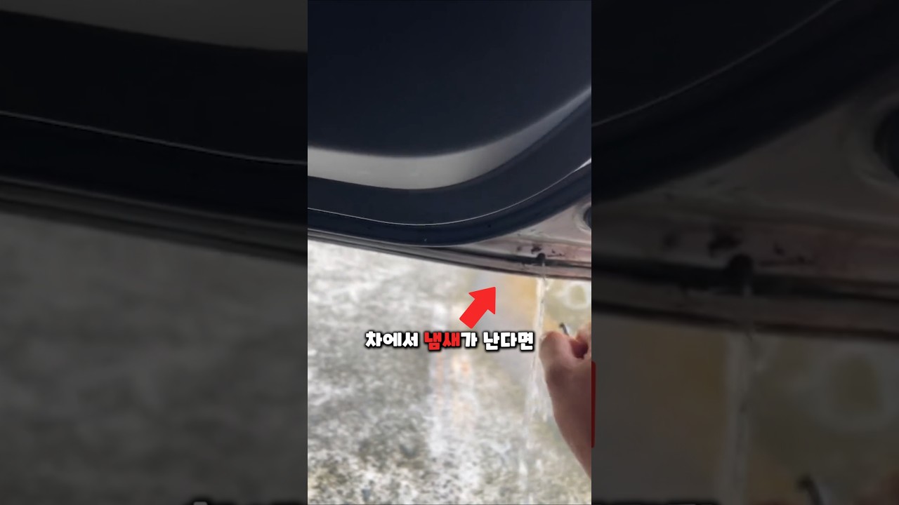 많은 사람들이 모르는 차 냄새의 원인