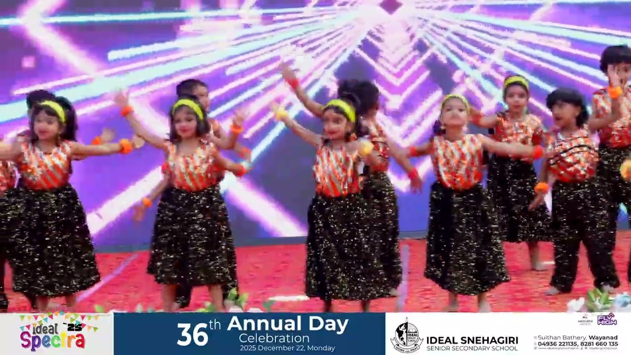 SPECTRA 2025 BUTTERFLY DANCE OF FLY 3 C