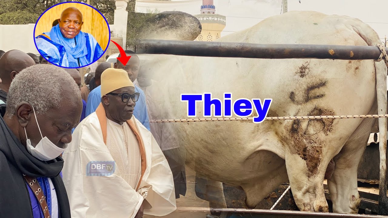 Magal Kazou Radiap 2023: Ziar Wakeur S Modou Aminta Fall Si S Abo Mbacke Falilou