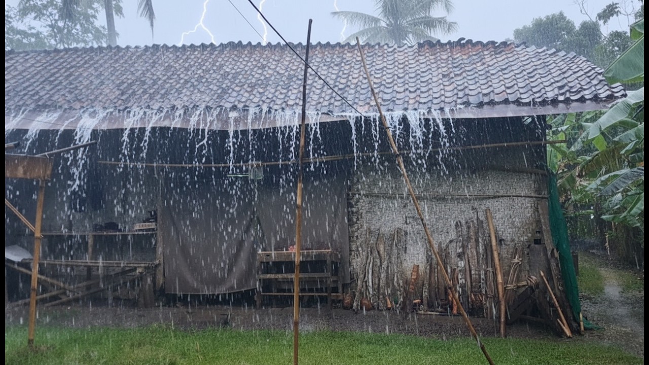Natural Village Rain 3 Hours | Pure Relaxation No Loops
