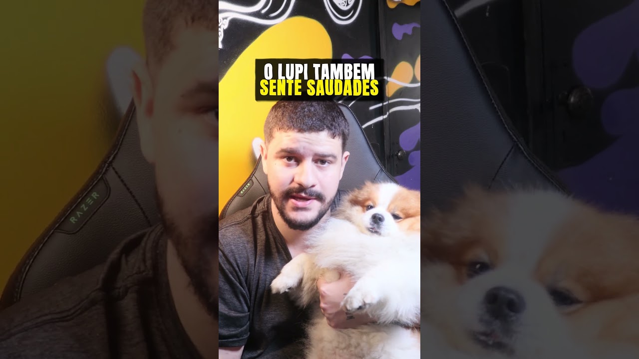 meu cachorro sente saudades do melhor amigo que se foi