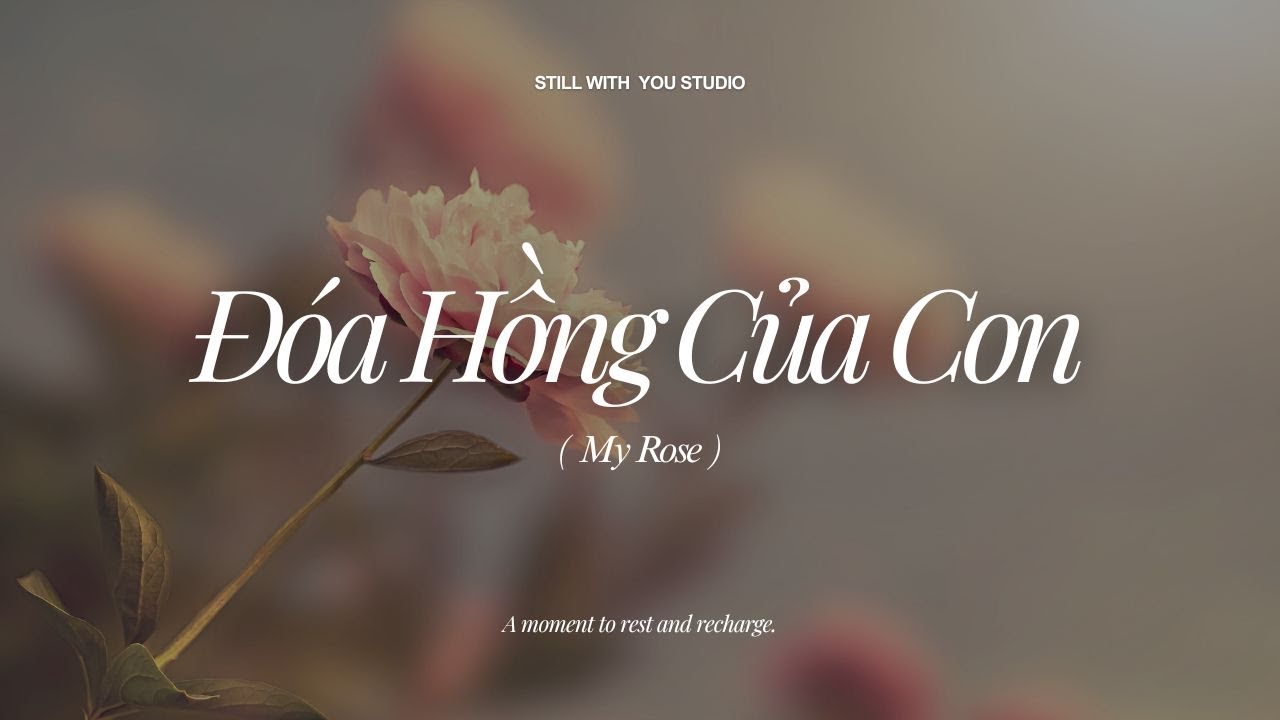 Đóa Hồng Của Con (My Rose) - Version No. 6