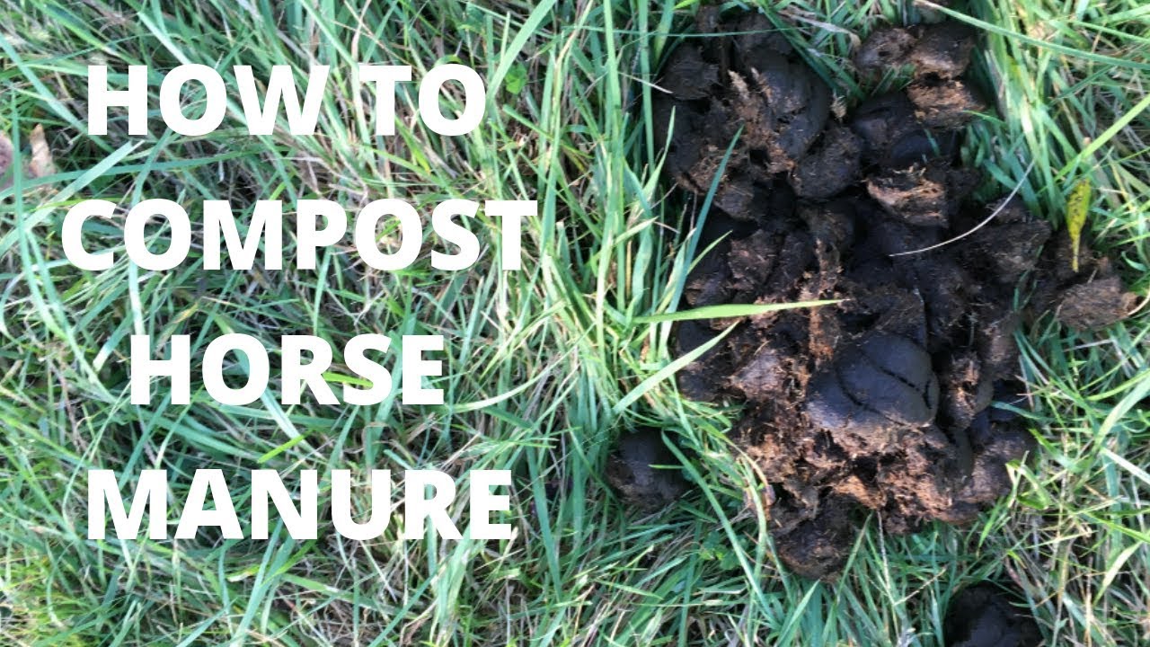 How to Compost Horse Manure